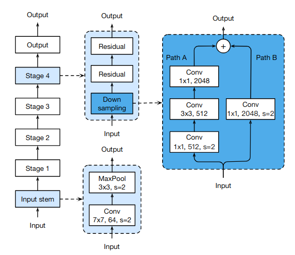 图1. ResNet-50网络结构